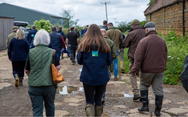 Group of people walking