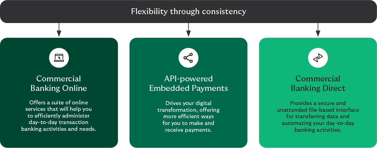 Flexibility through consistency with Commercial Banking Online, API-powered Embedded Payments and Commercial Banking Direct.