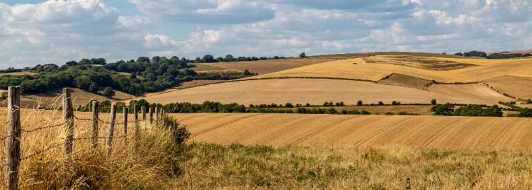 Farming fields