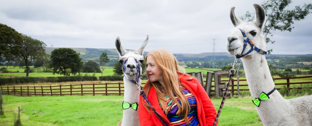 Celia Gaze and two llamas with bowties