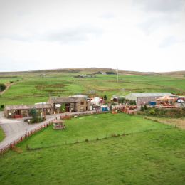 Read The Wellbeing Farm’s story