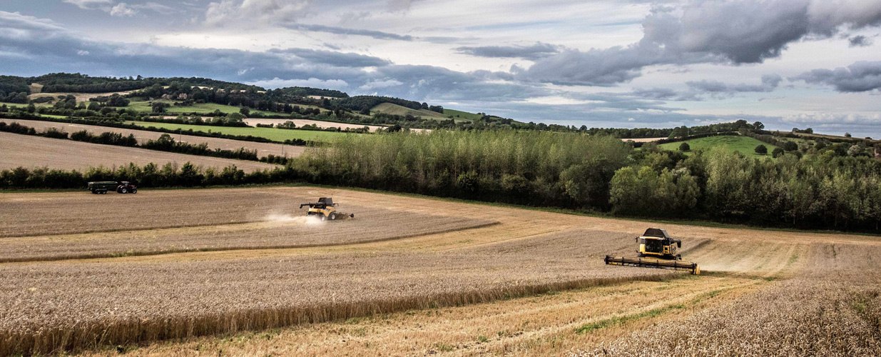 Combine Harvesters in fields