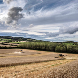Farming for margin & resilience