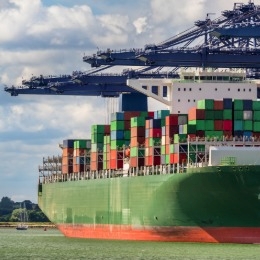 Read how wholesalers are turning uncertainty into opportunity