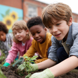 Find out more about getting your school climate ready