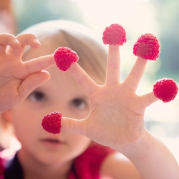 Read about Children’s Nurseries
