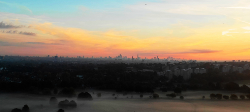 "Sunset of Review of 2025"