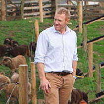 Adam Henson looking at a field of cattle on his farm