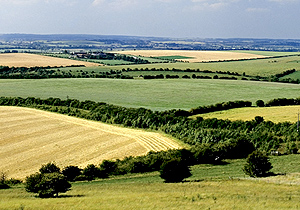 Landscape of hills covered with hedgerows and forests