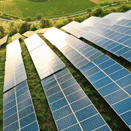 Watch Low Carbon’s story