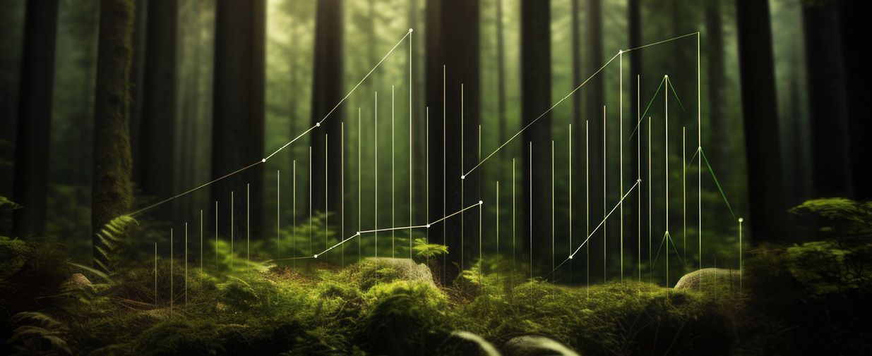 Sustainability image: forest and line graph