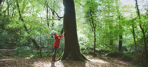Woodland Trust