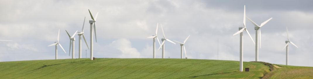 Windmill farm