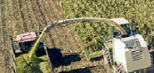 Tractos and machine harvesting crops
