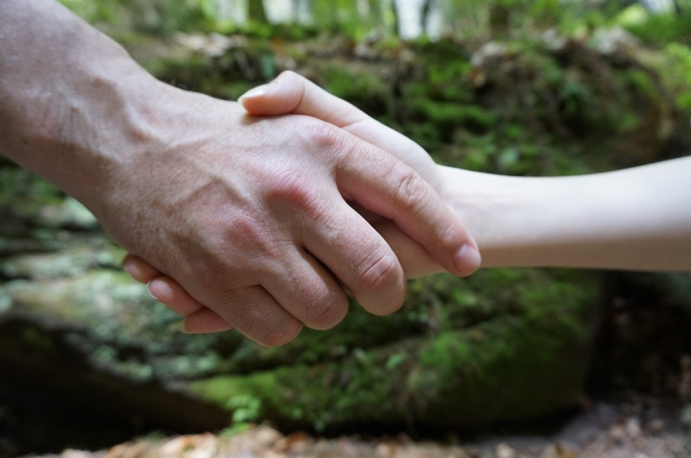 Shake hands