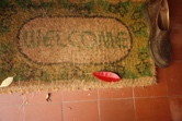 Welcome door mat