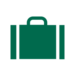 green suitcase image