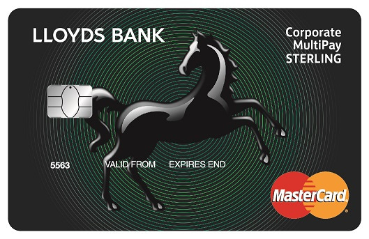 Corporate Multipay Card - large