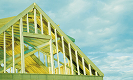 eco house