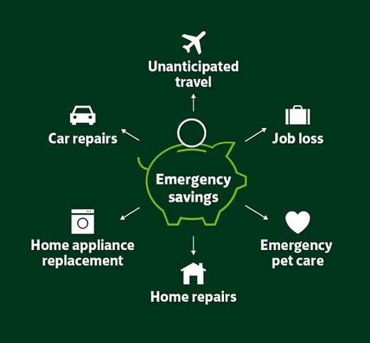 Info graphic shows example reasons for emergency savings. These include, unanticpated travel, job loss, emergency pet care, home repairs, home appliance replacement and car repairs.