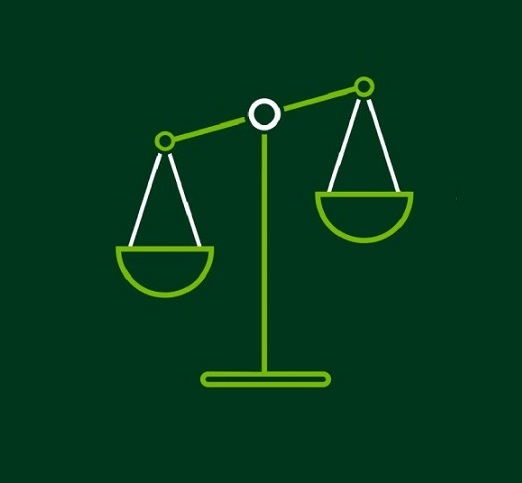 Scales icon