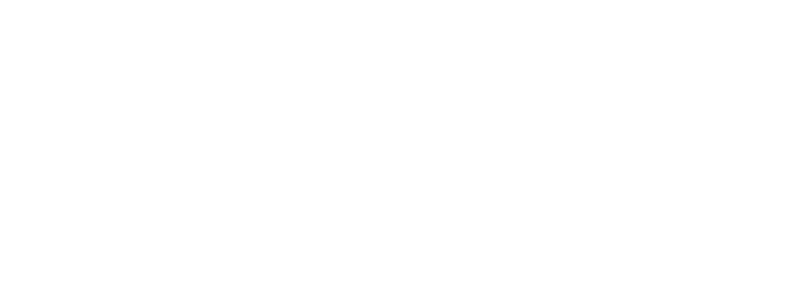 TOTUM card logo