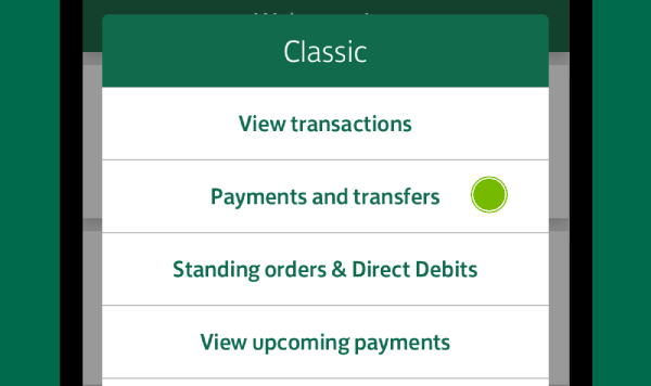 Screenshot of app showing 'Payments and transfers' option selected.