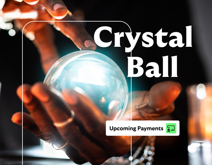 Crystal ball. Upcoming payments.