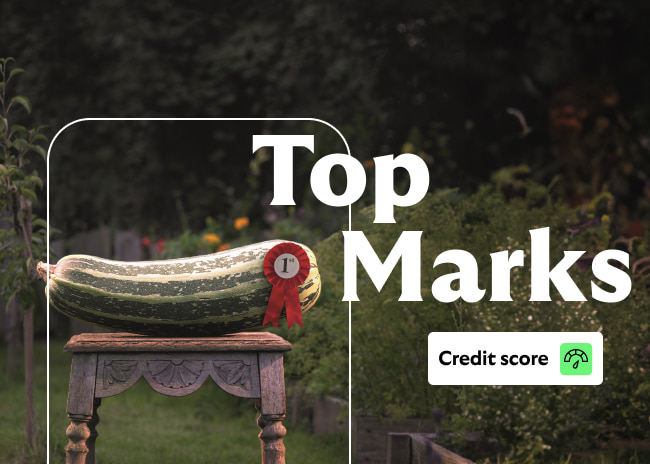 Top marks. Credit score.