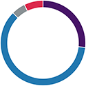 Low risk donut graph