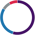 Medium risk donut graph