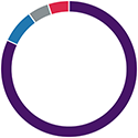 Higher risk donut graph