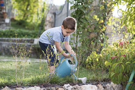 A young boy with a watering can in the garden
