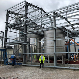 Betaine Plant