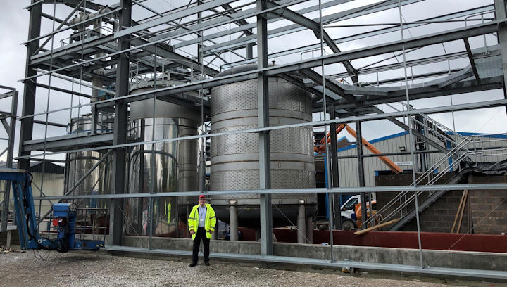 Betaine plant image
