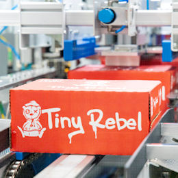 Tiny Rebel image