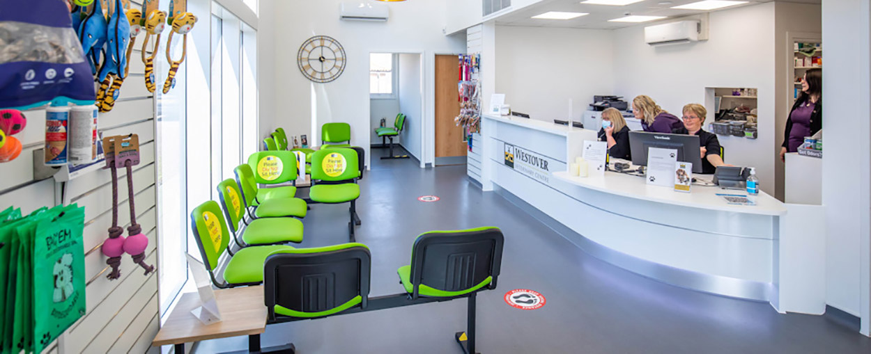Westover Vets, reception area