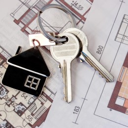 More on Willow Property Group