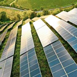 solar farm