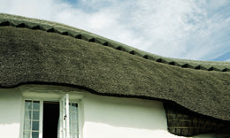 thatched roof